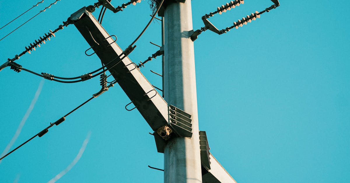 How Backup Generators Can Prevent Power Outage Disasters